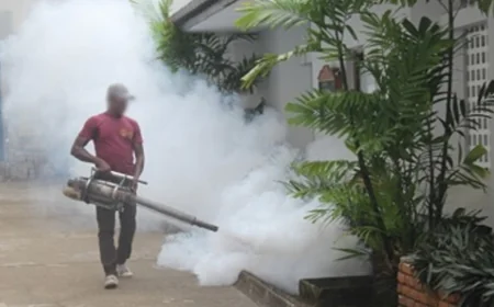 தேசிய டெங்கு கட்டுப்பாட்டு வாரம் ஜூன் 15-இல் ஆரம்பம் - நோய் பரவலைத் தடுக்க முயற்சிகள் தீவிரம்