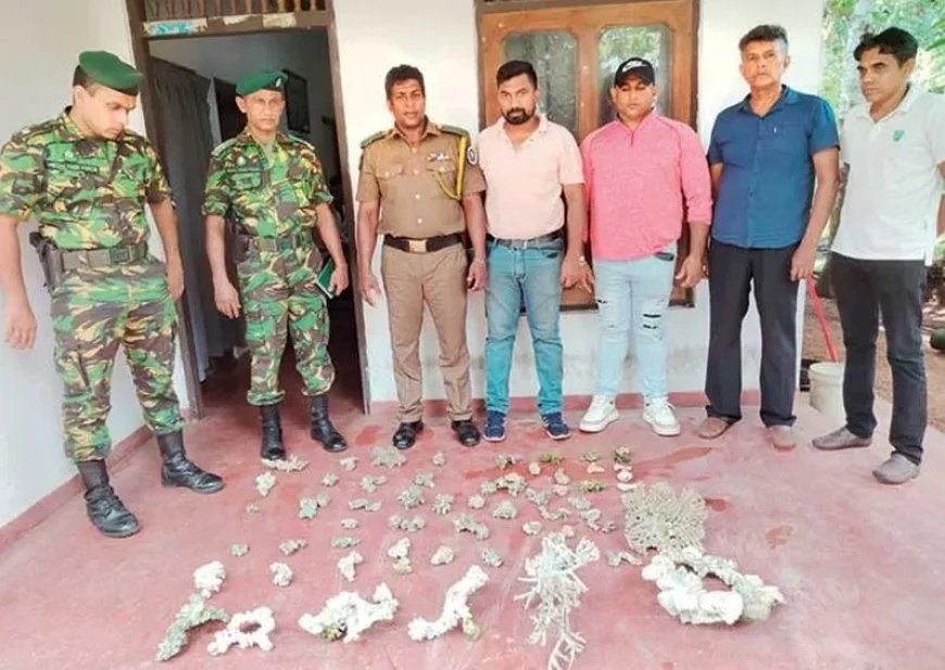 வாட்ஸ்அப் குழுக்கள் மூலம் அரிய பவளப்பாறைகள் விற்பனை: இருவர் கைது!