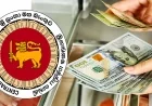 புலம்பெயர் தொழிலாளர் பணம் அனுப்புதலில் திடீர் சரிவு: ஜூன் மாதத்தில் 152 மில்லியன் டொலர் குறைவு!