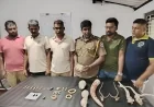 சிறுத்தைப் பற்கள், தோல் , மான் கொம்பு என சட்டவிரோதமாக சேகரிக்கப்பட்ட வனவிலங்குப் பொருட்கள்: மூவர் கைது