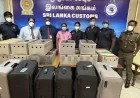 கட்டுநாயக்க விமான நிலையத்தில் 64 புறாக்கள் கடத்தல்: சகோதரர்களுக்கு ரூ. 5 லட்சம் அபராதம்!