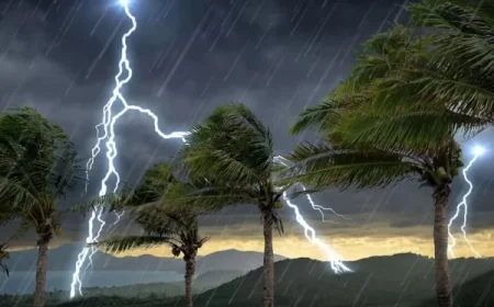 பல கடற்பகுதிகளுக்கு வளிமண்டலவியல் திணைக்களம் எச்சரிக்கை: மீனவர்கள் அவதானமாக இருக்க அறிவுரை