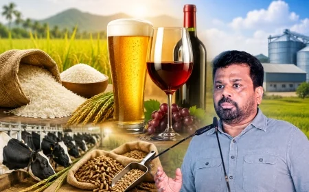 சோற்றுக்கு மட்டுமல்ல! அரிசியில் இருந்து பியர், வைன் தயாரிக்க அரசின் புதிய திட்டம் – ஜனாதிபதி அறிவிப்பு!