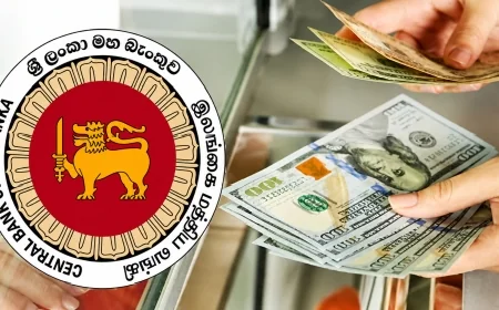 புலம்பெயர் தொழிலாளர் பணம் அனுப்புதலில் திடீர் சரிவு: ஜூன் மாதத்தில் 152 மில்லியன் டொலர் குறைவு!