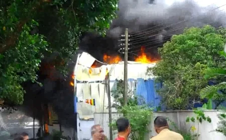 ஹோமாகம தொழிற்சாலை தீ விபத்து: ஐந்து பேர் உயிரிழப்பு - பிரதியமைச்சரின் அதிரடி உத்தரவு!