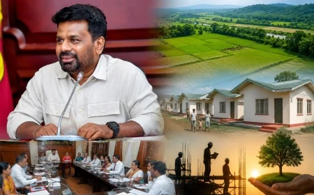 வெளிநாடுகளில் இருந்து திரும்பும் புலம்பெயர் தொழிலாளர்களுக்கு அரச காணிகளை ஒதுக்கீடு செய்ய ஜனாதிபதி உத்தரவு