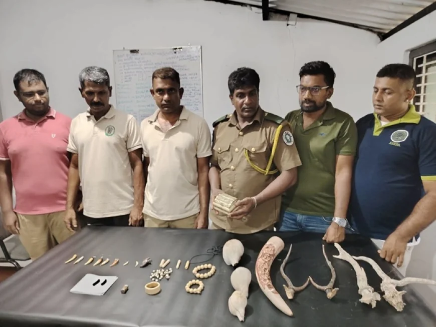 சிறுத்தைப் பற்கள், தோல் , மான் கொம்பு என சட்டவிரோதமாக சேகரிக்கப்பட்ட வனவிலங்குப் பொருட்கள்: மூவர் கைது