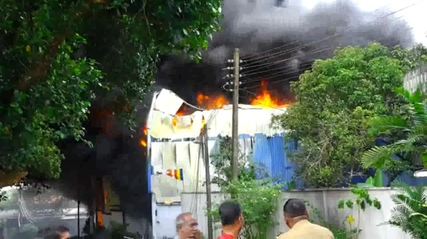 ஹோமாகம தொழிற்சாலை தீ விபத்து: ஐந்து பேர் உயிரிழப்பு - பிரதியமைச்சரின் அதிரடி உத்தரவு!