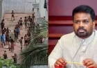 சிறைச்சாலை பாதுகாப்பு, கைதிகள் நலனை மேம்படுத்த கூட்டுப் பொறிமுறை: ஜனாதிபதி உத்தரவு