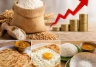கோதுமை மா விலை உயர்வு: பரோட்டா, இடியப்பம், அப்பம், முட்டை ரொட்டி உள்ளிட்ட உணவுகளின் விலையும் அதிகரிப்பு!