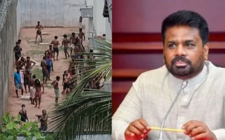 சிறைச்சாலை பாதுகாப்பு, கைதிகள் நலனை மேம்படுத்த கூட்டுப் பொறிமுறை: ஜனாதிபதி உத்தரவு