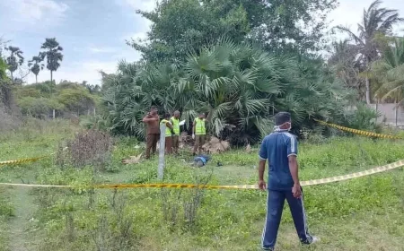 பேசாலையில் மர்ம மரணம்? புதரில் இருந்து மீனவரின் சடலம் மீட்பு; தீவிர விசாரணை!