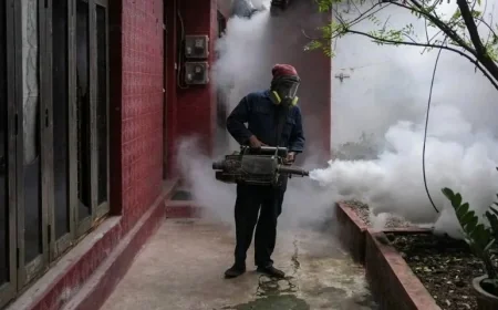 இலங்கையில் டெங்குவால் பதிவான உயிரிழப்பு எண்ணிக்கை 68 ஆக உயர்வு