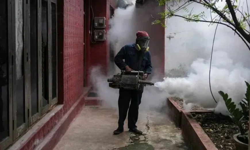 இலங்கையில் டெங்குவால் பதிவான உயிரிழப்பு எண்ணிக்கை 68 ஆக உயர்வு