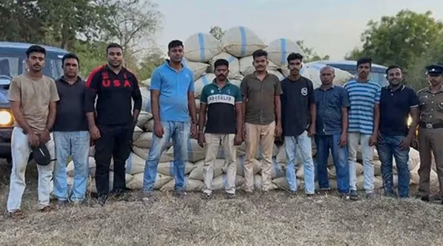 மொனராகலையில் 1,044 கிலோகிராமுக்கும் அதிகமான கஞ்சாவுடன் இருவர் கைது