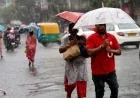 வங்காள விரிகுடாவில் நிலைகொண்டுள்ள தாழமுக்கம் மேலும் வலுப்பெறுகிறது: கனமழை மற்றும் பலத்த காற்று தொடர்பில் எச்சரிக்கை