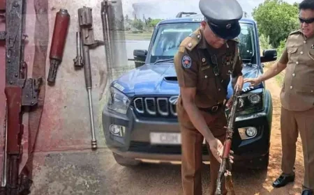 ஏரிக்குள் பதுக்கி வைக்கப்பட்டிருந்த ஆயுதங்கள்! ரி-56 துப்பாக்கியுடன் 84 தோட்டாக்கள் மீட்பு