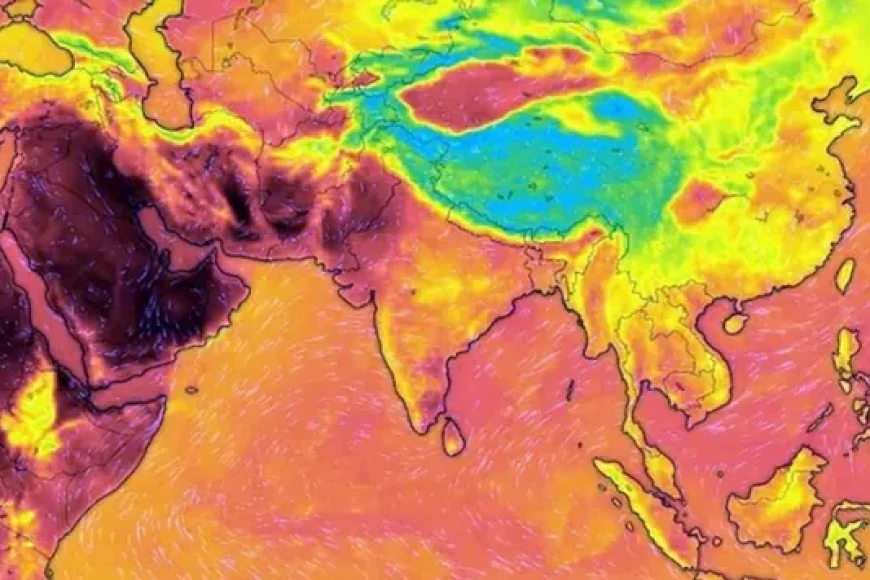 எல் நினோவின் தாக்கம் அடுத்த ஆண்டு வரை தொடரும்: உலக வானிலை ஆய்வு அமைப்பு எச்சரிக்கை