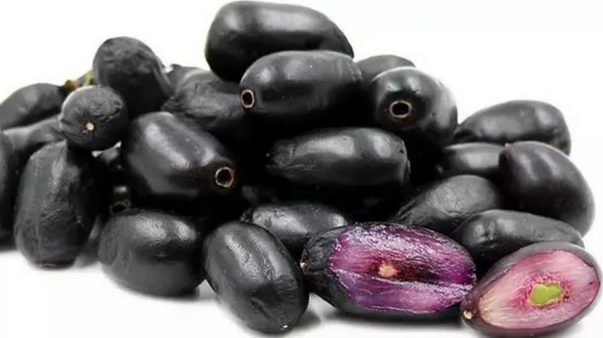 நிலத்தில் கிடந்த நாவல் பழத்தை சாப்பிட்ட சிறுவன் உயிரிழப்பு: பழந்தில் பாம்பு விஷம் பட்டதாக சந்தேகம்!