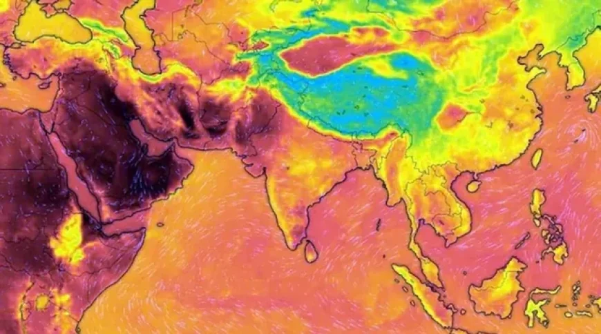 எல் நினோவின் தாக்கம் அடுத்த ஆண்டு வரை தொடரும்: உலக வானிலை ஆய்வு அமைப்பு எச்சரிக்கை