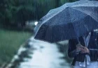 දිවයිනේ ප්‍රදේශ රැසකට අද ගිගුරුම් සහිත වැසි: ඇතැම් ස්ථානවලට මිලිමීටර් 75 ඉක්මවූ තද වැසි
