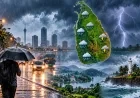 இலங்கையின் பல பகுதிகளில் இன்று மழை: பிற்பகல் இடியுடன் கூடிய மழைக்கு வாய்ப்பு – வளிமண்டலவியல் திணைக்களம் எச்சரிக்கை!
