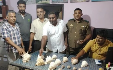 கற்பிட்டியில் அரிய வகை சங்குகளுடன் சந்தேகநபர் ஒருவர் கைது