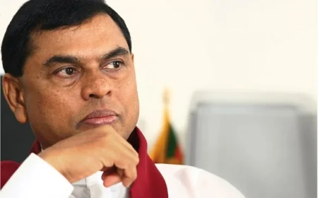 பசிலுக்கு  சொந்தமானது எனக் கூறப்படும் காணி பறிமுதல்: நீதிமன்றத்தில் FCID தகவல்