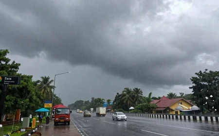 நாட்டின் பெரும்பாலான பகுதிகளில் இடியுடன் கூடிய மழை: வளிமண்டலவியல் திணைக்களம் எச்சரிக்கை