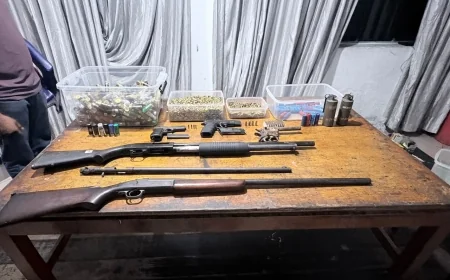 Stock of Firearms, Ammunition and Hand Grenades Seized from Cinema in Kirindiwela; One Suspect Arrested