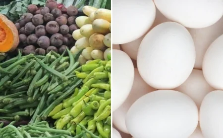 இலங்கையில் மரக்கறி விலைகள் கடும் உயர்வு! முட்டை, கோழி இறைச்சி விற்பனை வீழ்ச்சி
